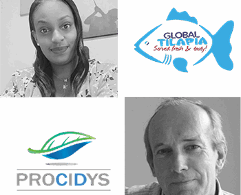 A tailor-made strategic consulting session for Camino Ruiz Agencies: discover their cross-feedback with Procidys 