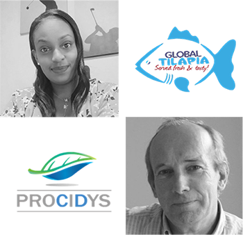 A tailor-made strategic consulting session for Camino Ruiz Agencies: discover their cross-feedback with Procidys 