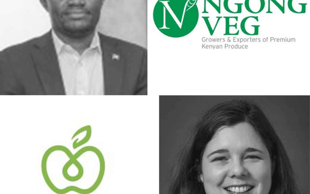 A tailor-made strategic consulting session for Ngong Veg: discover their cross-feedback with Foodinnov