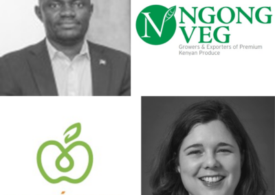 A tailor-made strategic consulting session for Ngong Veg: discover their cross-feedback with Foodinnov
