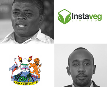 A tailor-made strategic consulting session for Instaveg: discover their cross-feedback with Chuka University