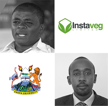 A tailor-made strategic consulting session for Instaveg: discover their cross-feedback with Chuka University