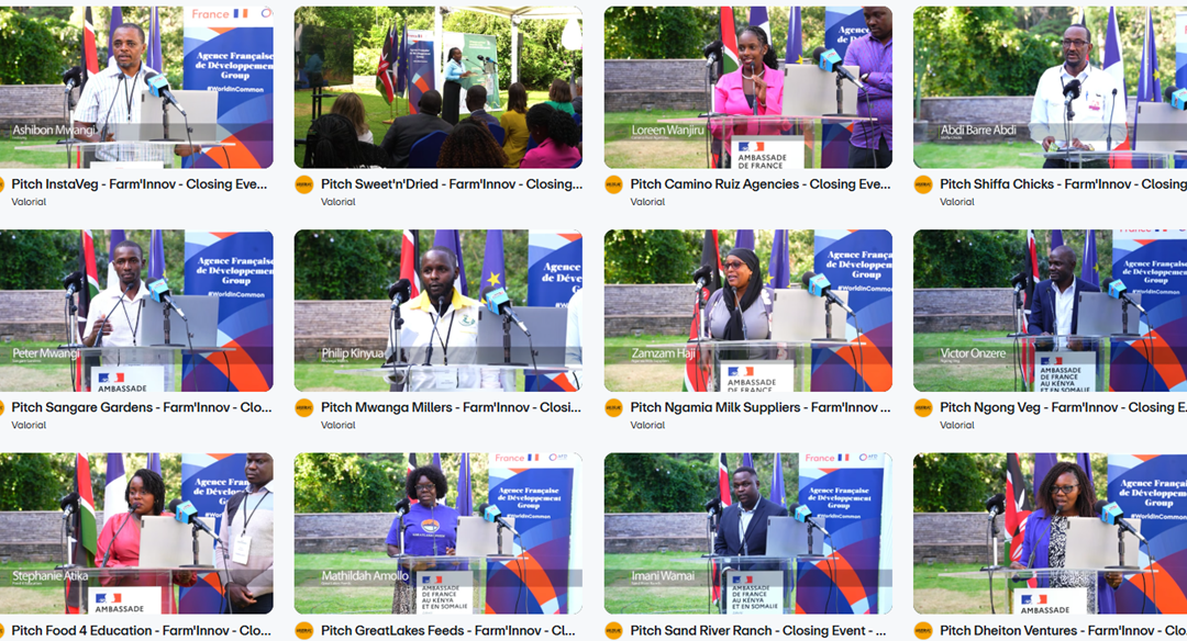 Farm’Innov: a highly positive outcome for the Kenyan agrifood companies in the acceleration programme