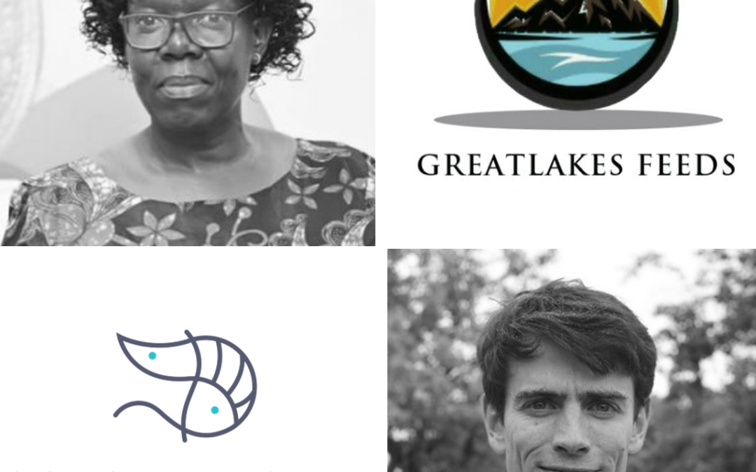 A tailor-made strategic consulting session for Great Lakes Feeds : discover their cross-feedback with Halieutica